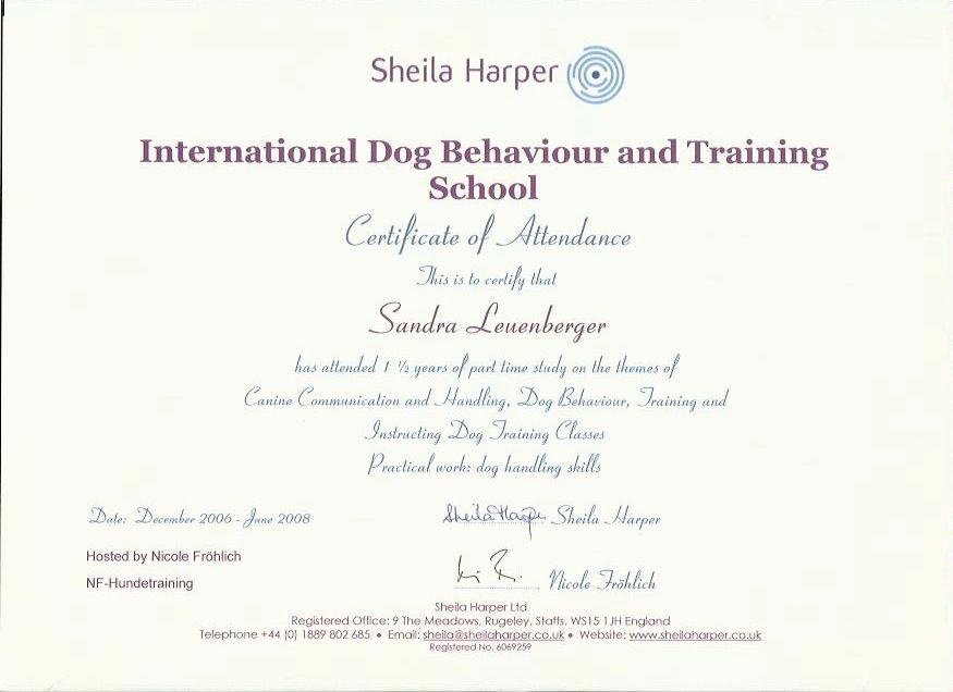 certificate01