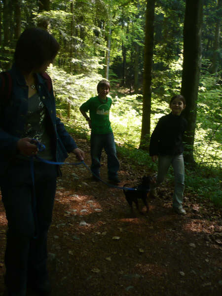 Wanderungen